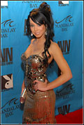 2008 Adult Video News Awards