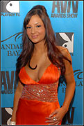 2008 Adult Video News Awards