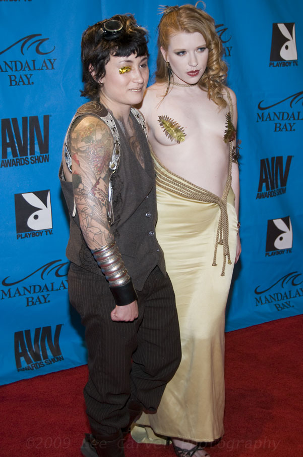 2009 AVN Awards at 2009 AVN Adult Movie Awards